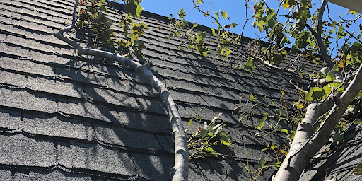 How to Know When It’s Time to Replace Your Roof